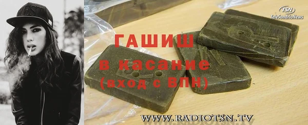 шишки Верея