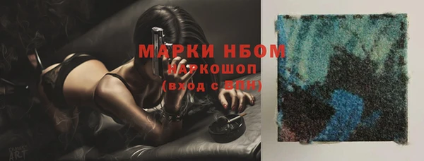 шишки Верея