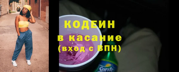 шишки Верея