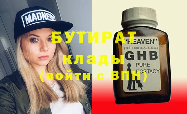 шишки Верея