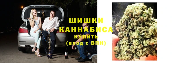 дмт Лагань