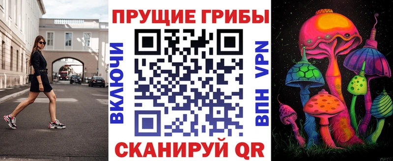 Псилоцибиновые грибы мицелий  сайты даркнета формула  Выкса 