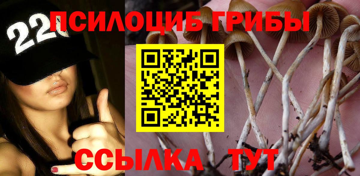 Псилоцибиновые грибы мухоморы Выкса